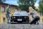Preview: 1:18 BMW E30 M3 AC Schnitzer ACS3 Sport 2.5 / 1985 black Edition
